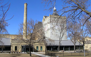 bottineau library photo